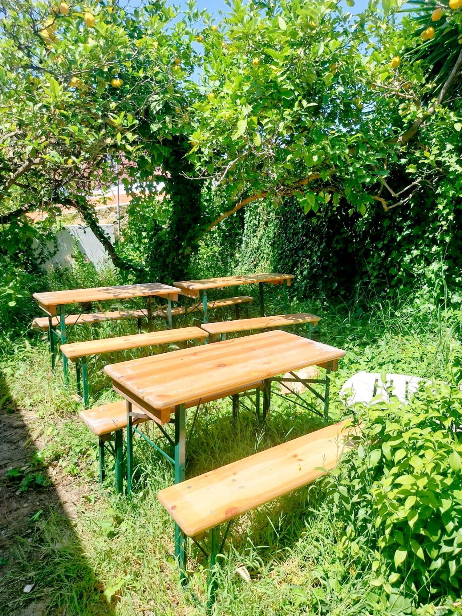 Solemcabana Social Club 拉哥斯 外观 照片